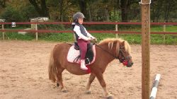 Name: CIMG0533_2124.jpg  Width: 250px  Height: 140px
