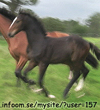 Name: fall_2.jpg  Width: 195px  Height: 216px