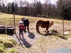 Name: fyllavatten_1868.jpg  Width: 250px  Height: 187px