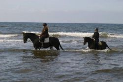 Name: gaia1_14958.jpg  Width: 250px  Height: 166px