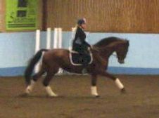 Name: riderMagica6_5711.jpg  Width: 226px  Height: 168px