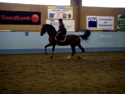 Name: ridgalopp_5711.jpg  Width: 250px  Height: 187px