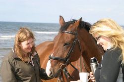 Name: strandpewa_14958.jpg  Width: 250px  Height: 166px