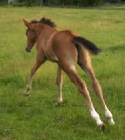  -  - stretch_10846.jpg