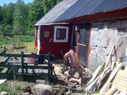 Name: tuppen1_17355.jpg  Width: 250px  Height: 187px