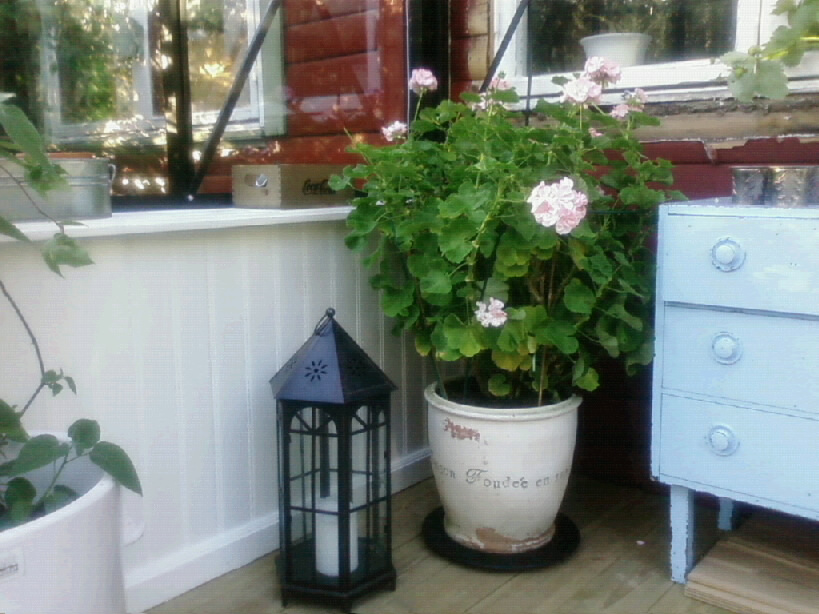 Name: 20090919173251_Foto0447.jpg  Width: 819px  Height: 614px