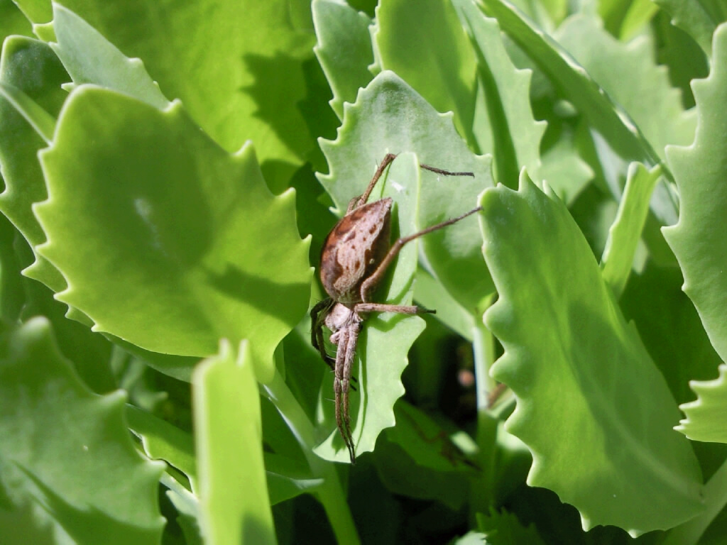 Name: 20100619120719_Foto0302.jpg  Width: 1024px  Height: 768px