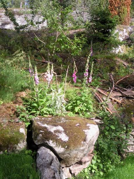 Name: 20110703134537_Foto0597.jpg  Width: 460px  Height: 614px