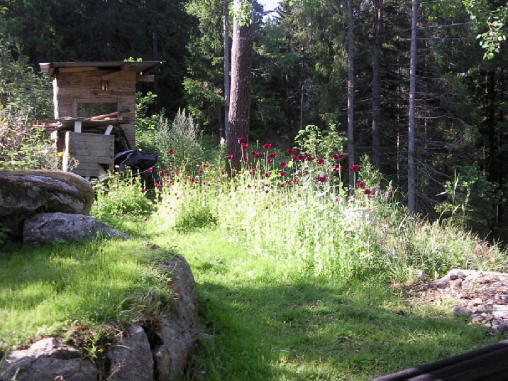 Name: 20110707071240_Foto0614.jpg  Width: 716px  Height: 537px