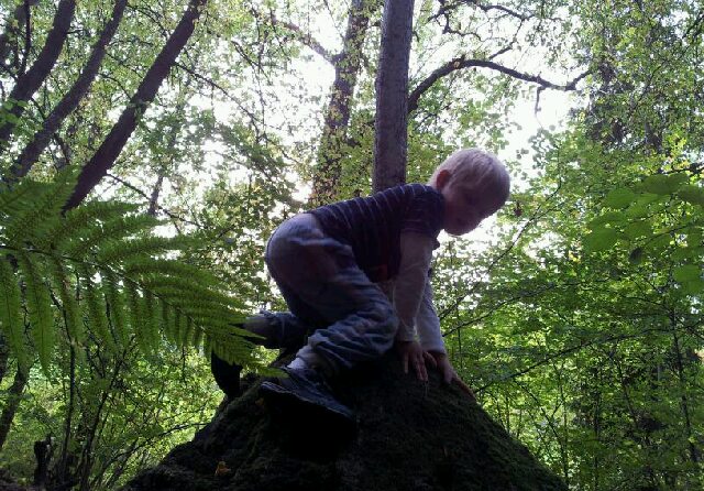 Name: 20111006070751_1317801773889.jpg  Width: 640px  Height: 446px