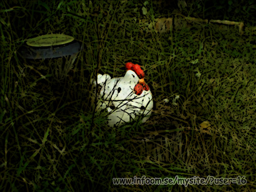 Name: chicken.jpg  Width: 518px  Height: 389px