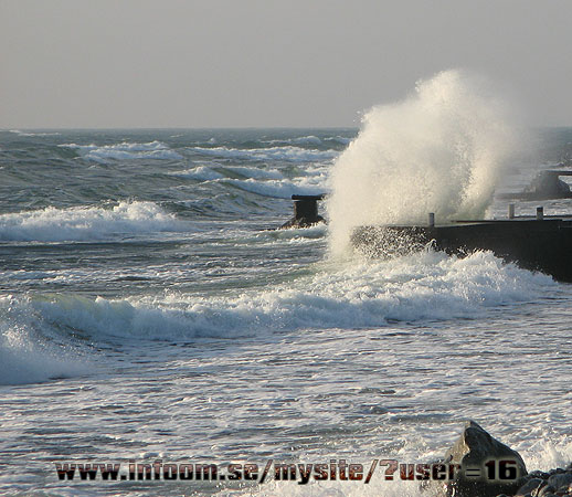 Name: hav.jpg  Width: 518px  Height: 450px