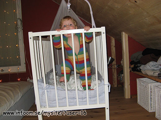 Name: jamie.jpg  Width: 518px  Height: 389px