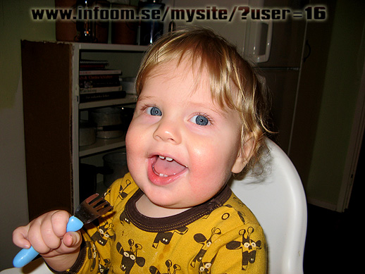 Name: gaffel_trick.jpg  Width: 518px  Height: 389px