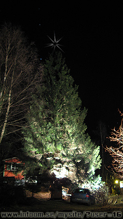 Name: garden_lights.jpg  Width: 250px  Height: 444px
