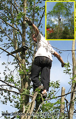 Name: timber.jpg  Width: 250px  Height: 389px