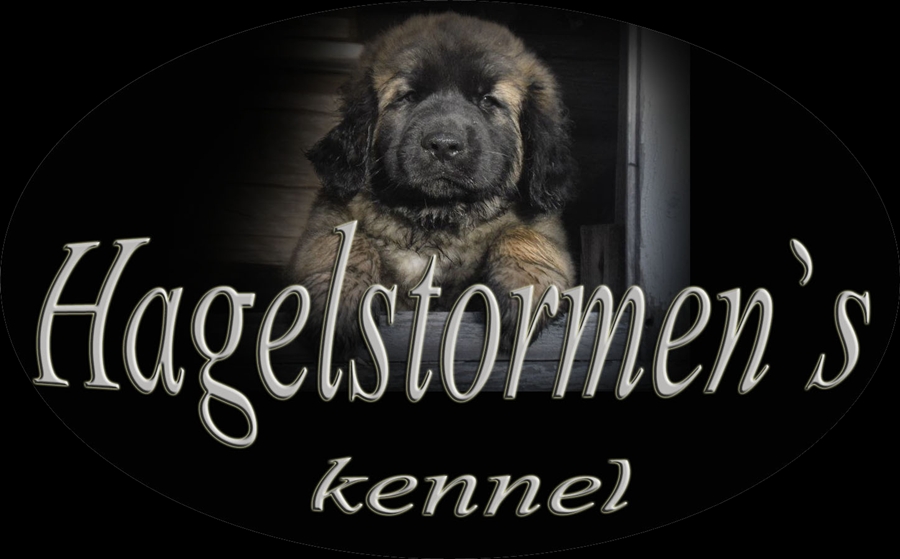 hagelstormens