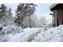 Vinter fram  Framsidan