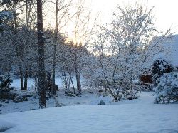 Vinter6  Skymning i vinterskrud