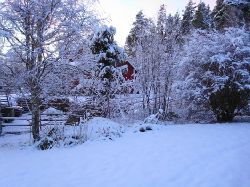 vinter7  Vacker vinterbild