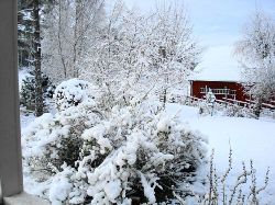 Vinter  Vinter hemma frn frstubron