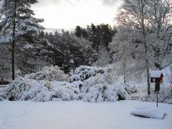 Vinter  Vinter mot vgen