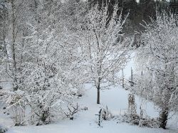 Vinter vid pumpen  Vinter vid pumpen