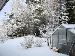 Vinter baksidan  Vinterbild frn baksidan med vxthuset