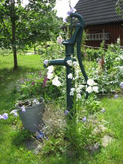 Tomtbildpumpen  Pumpen med blommor