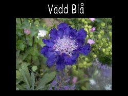 Vadd  Vdd Bl st