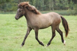 1 ring p sommarbete