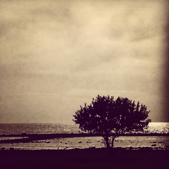 Gotland 
