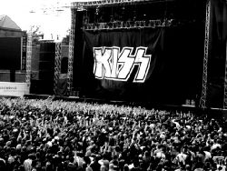mktigt!  the hottest band in the world