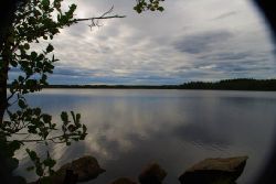 Rimbrosfoto  Den hr sjn heter jjen