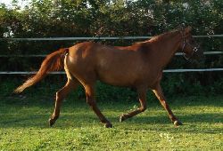 Bytham Paris Daughter