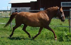 Bytham Paris Daughter