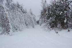 Den här vägen får jag ta nästa gång när det är vår, finns inte möjlighet att ta sig ned till Grecken nu den här vägen. Den här vägen får jag ta nästa gång när det är vår, finns inte möjlighet att ta sig ned till Grecken nu den här vägen.