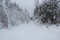 Den hr vgen fr jag ta nsta gng nr det r vr, finns inte mjlighet att ta sig ned till Grecken nu den hr vgen.