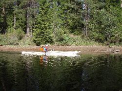 Det blir att paddla i skogskanten, s utsikten r begrnsad men vet aldrig nr det dyker upp ett djur i skogskanten, har sjlv kommit nra djuren med kajaken utan att skremma dom.