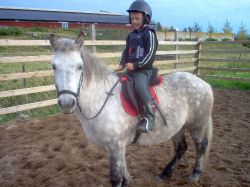 Hr rider jag p mammas snlla islandshst Blida.