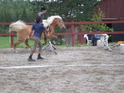Balansvning  Balanstrning p hsten Karro