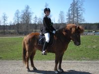 Nallen  Jag & Nallen p tvling 25/4-09