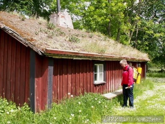 Kossorna i Srgrden :-)