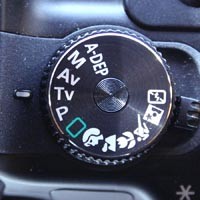 Se exempel p stressiga bilder p Pixgallery.