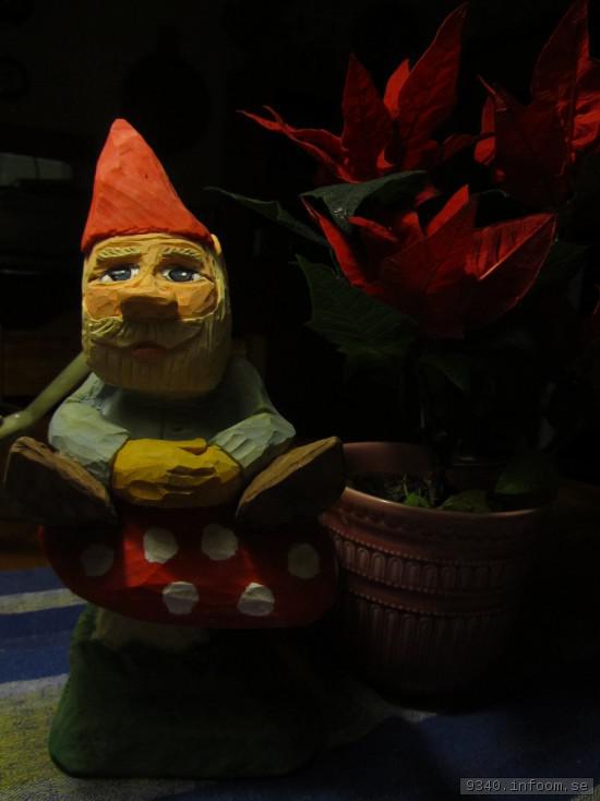 2015-12-10Tomte p Svamp