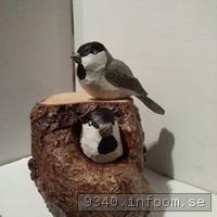 2018-06-11 hckande Entitor