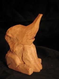 2010-05-25 
Elefantunge
