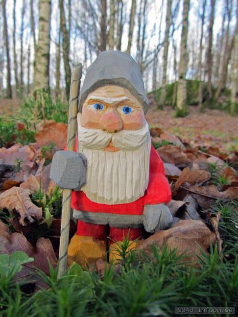 2012-11 Tomte i hstskog