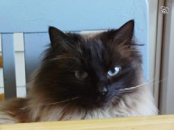 casper  casper med sina fina bl gon..