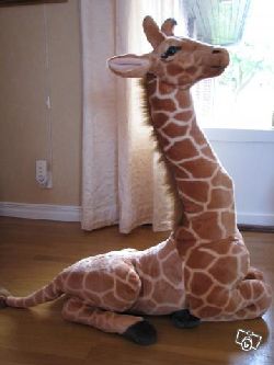 giraffpaff.jpg  mjukis giraff som skulle passa bra med min flodhst!